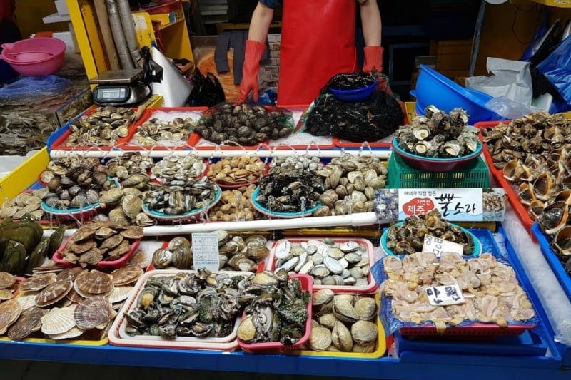仁川綜合魚市場 (5/11)