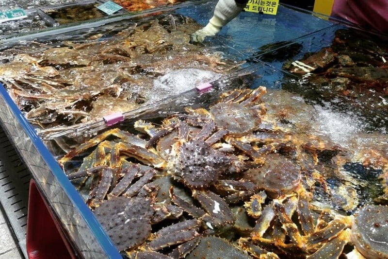 仁川綜合魚市場 (7/11)