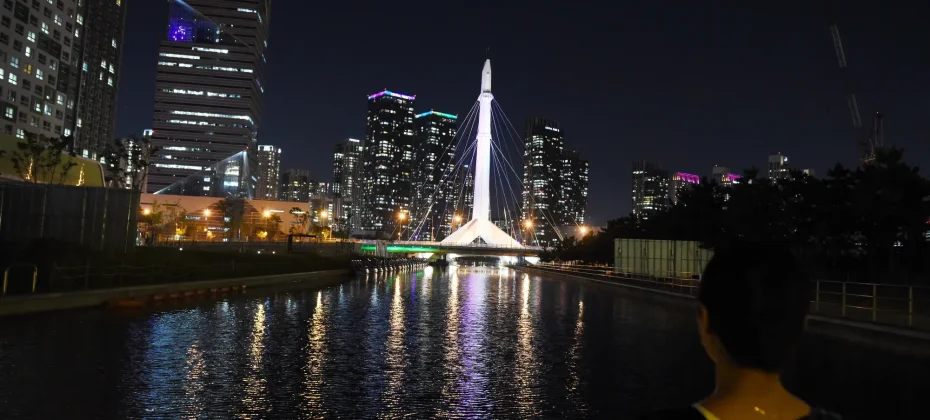 仁川浪漫夜景一日團