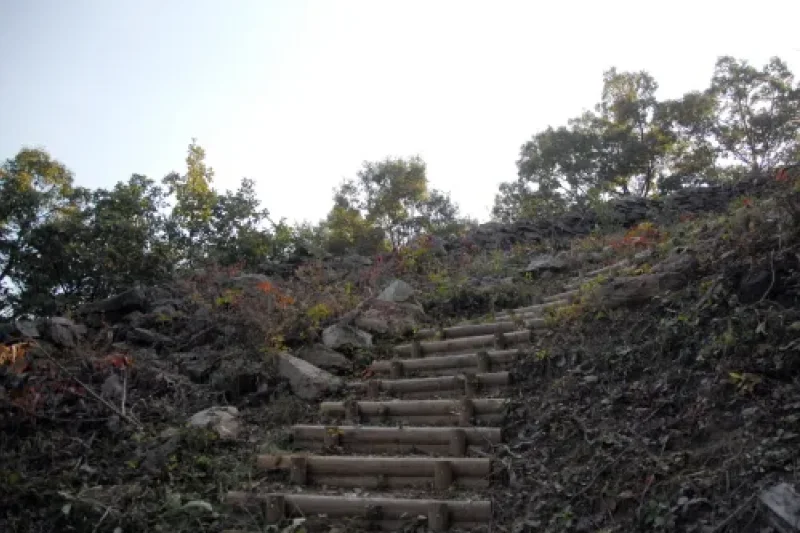 金伊城