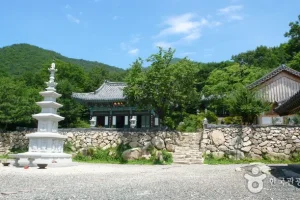 內院庵