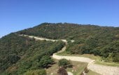 禮山任存城(예산 임존성)
