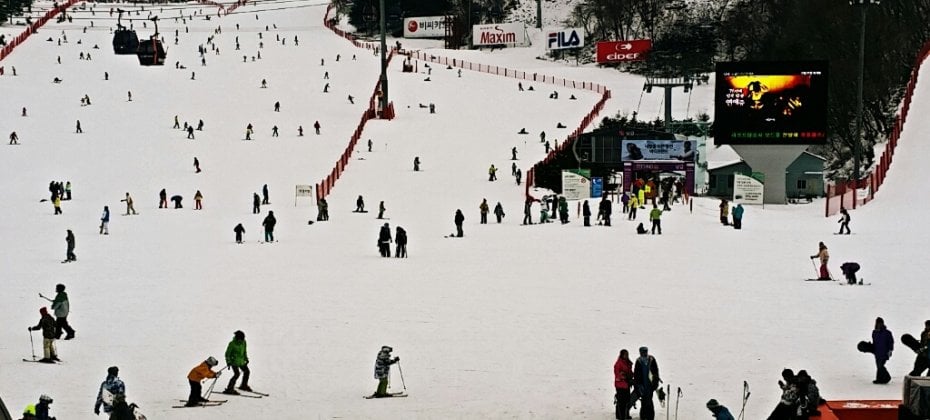 大明維瓦爾第滑雪一天團/接駁車 VIVALDI PARK ONE DAY SKI TOUR / shuttle service (15/36)