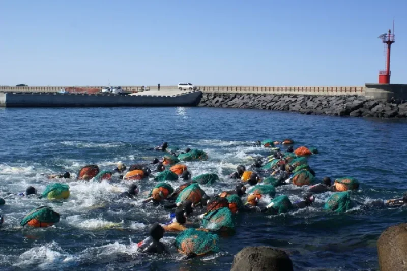 제주 해녀축제 2018 濟州海女節 (2/3)