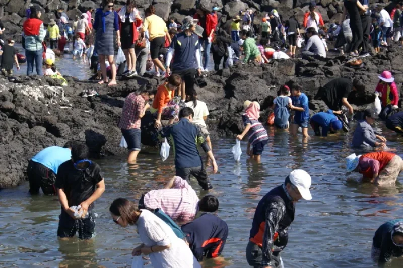 제주 해녀축제 2018 濟州海女節 (3/3)