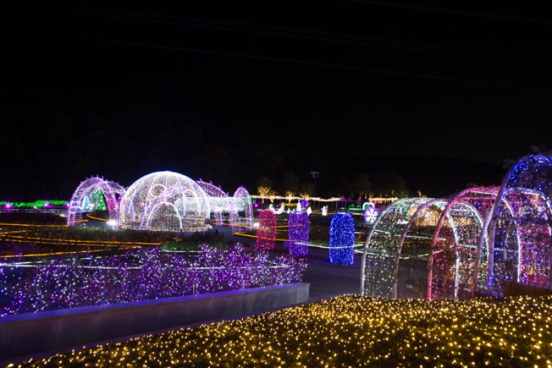 蔚山大公園玫瑰園星光慶典울산대공원 장미원 빛축제