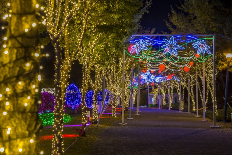 蔚山大公園玫瑰園星光慶典울산대공원 장미원 빛축제