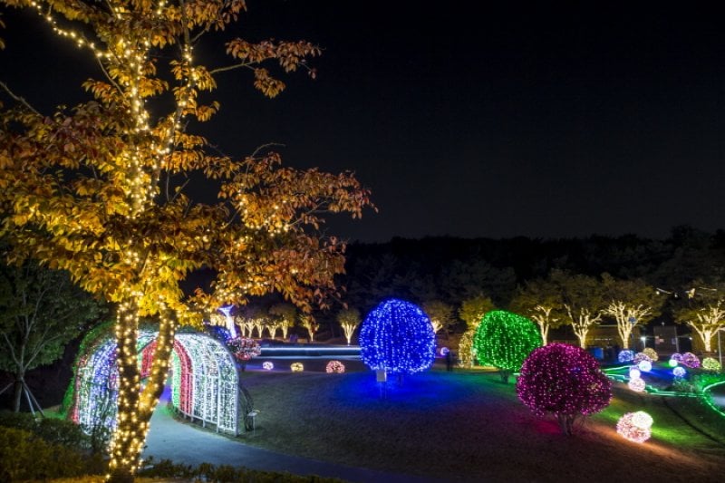 蔚山大公園玫瑰園星光慶典울산대공원 장미원 빛축제