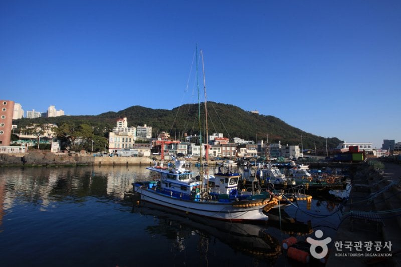 青沙浦(청사포) (4/25)