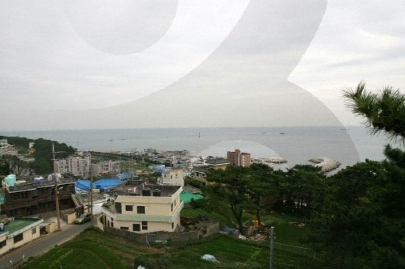 青沙浦(청사포) (22/25)