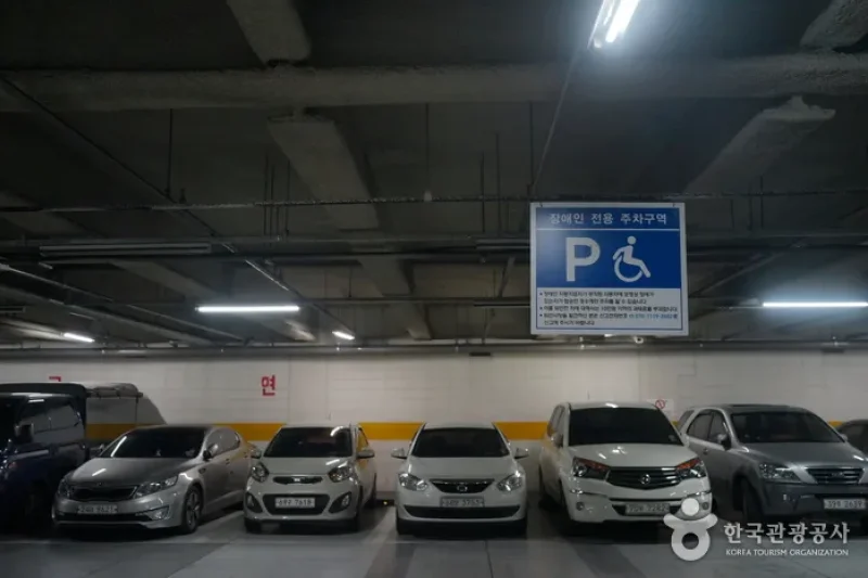 中部市場
