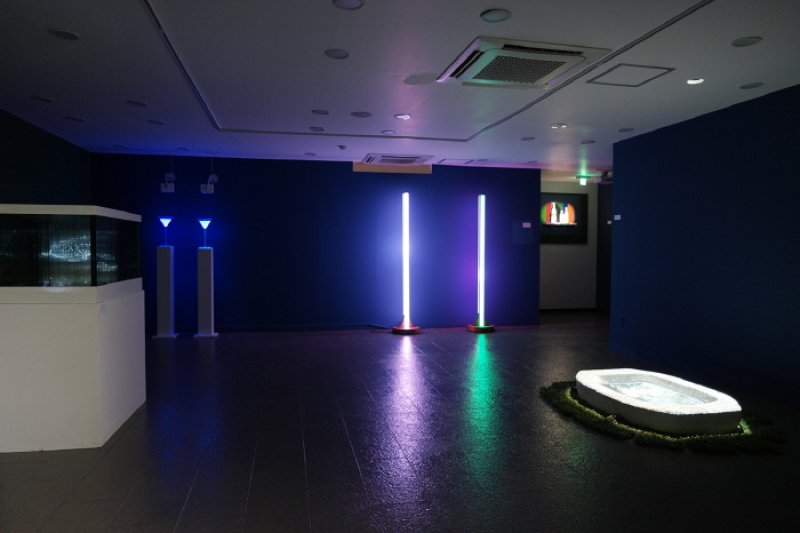 互動藝術博物館(인터렉티브아트뮤지엄)