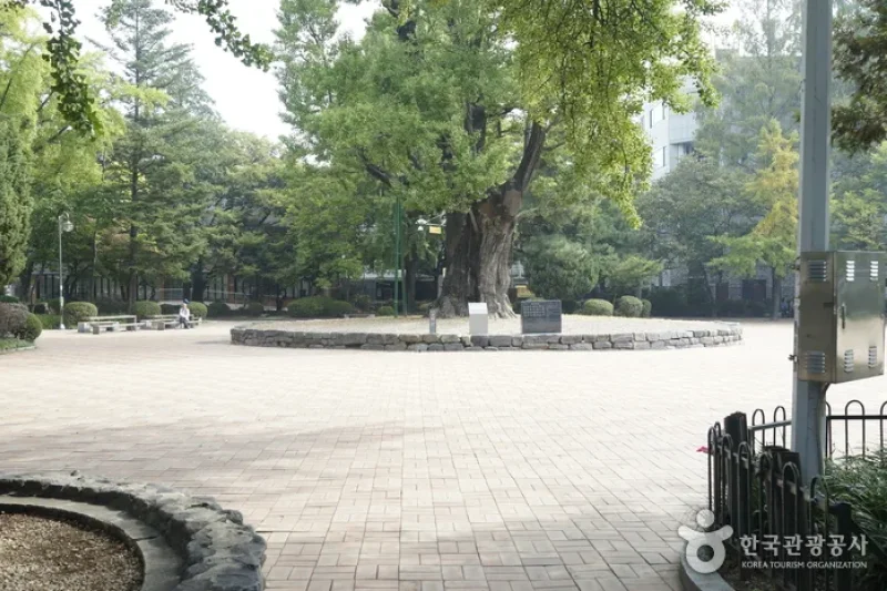 清州中央公園