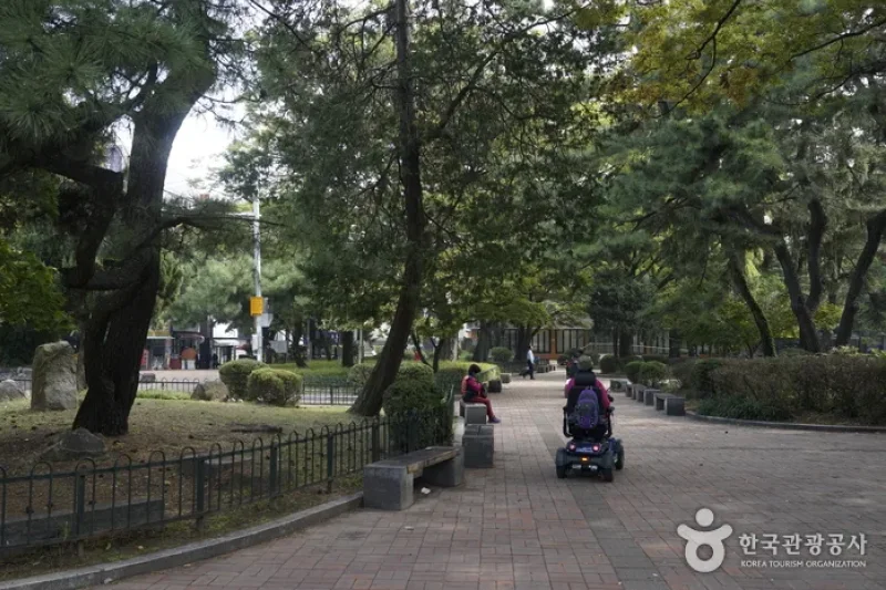 清州中央公園