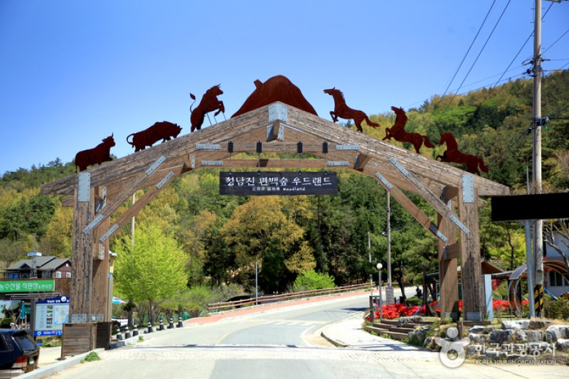 扁柏林森林樂園(편백숲 우드랜드) (3/5)