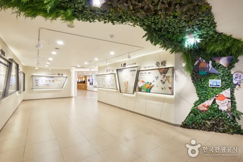 清河高麗人蔘[韓國觀光品質認證/Korea Quality]청하고려인삼 [한국관광 품질인증/Korea Quality]