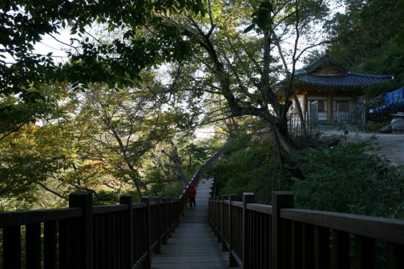 擲板庵