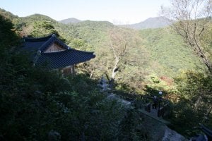 擲板庵