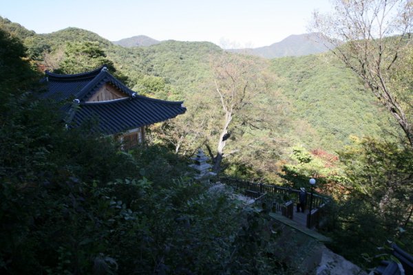 擲板庵