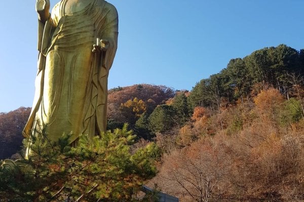 世宗旅行