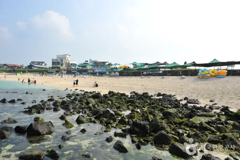 牛島珊瑚海邊