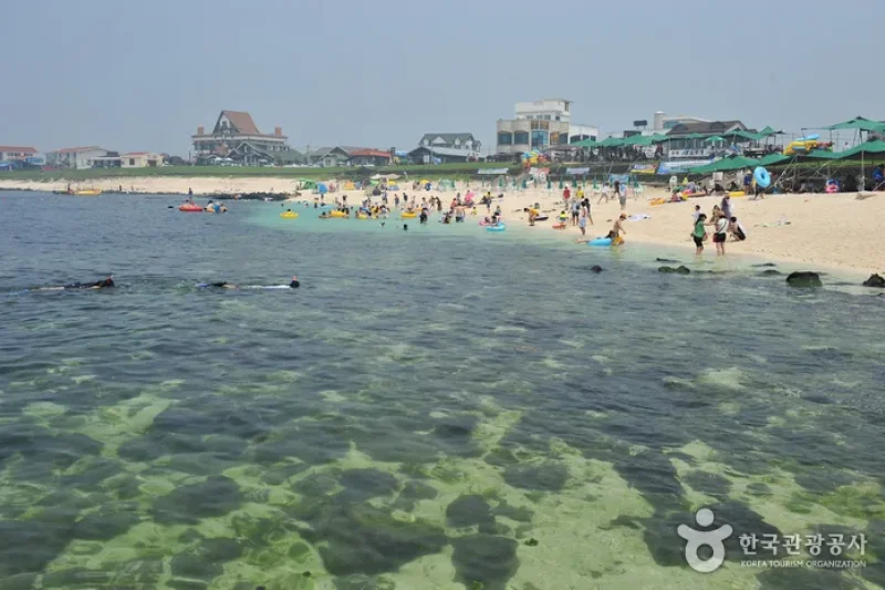 牛島珊瑚海邊