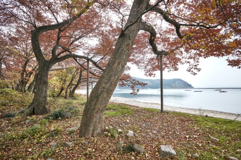 南海勿巾里防潮魚付林