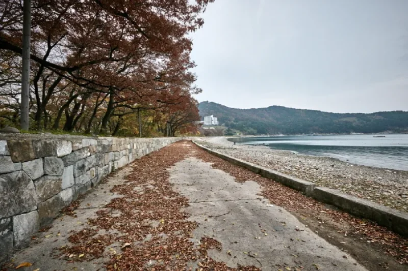 南海勿巾里防潮魚付林