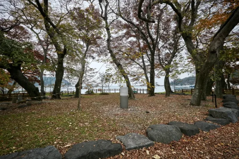 南海勿巾里防潮魚付林