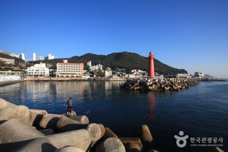 青沙浦(청사포) (24/25)