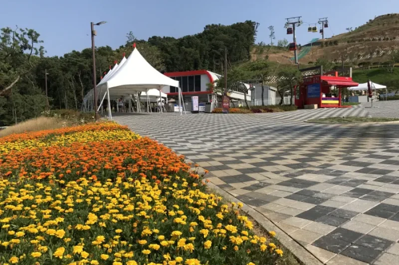 江華斜坡滑車 (江華海邊度假村) 專享優惠券 (6/49)