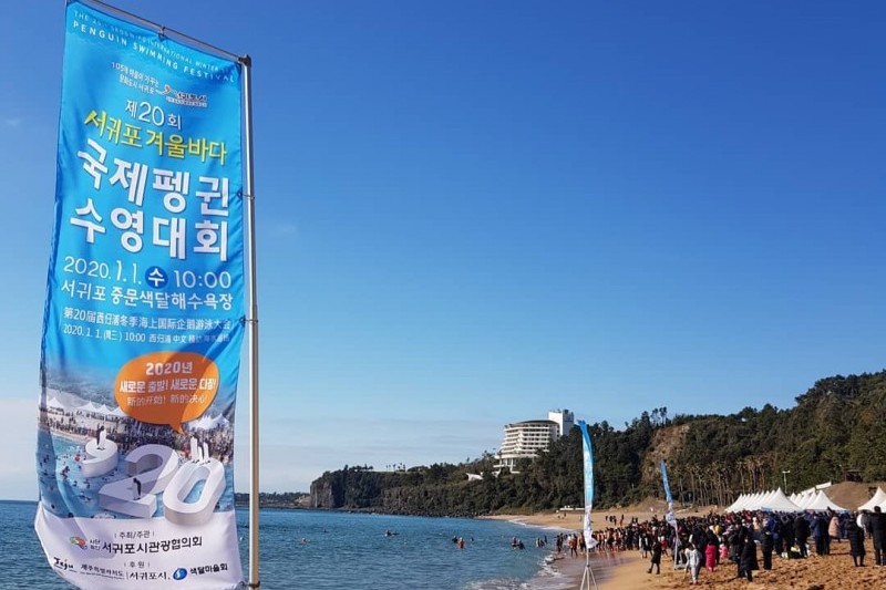 巨濟島國際企鵝冬泳大會
