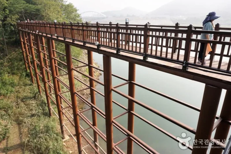 丹陽江棧道(단양강 잔도) (4/8)