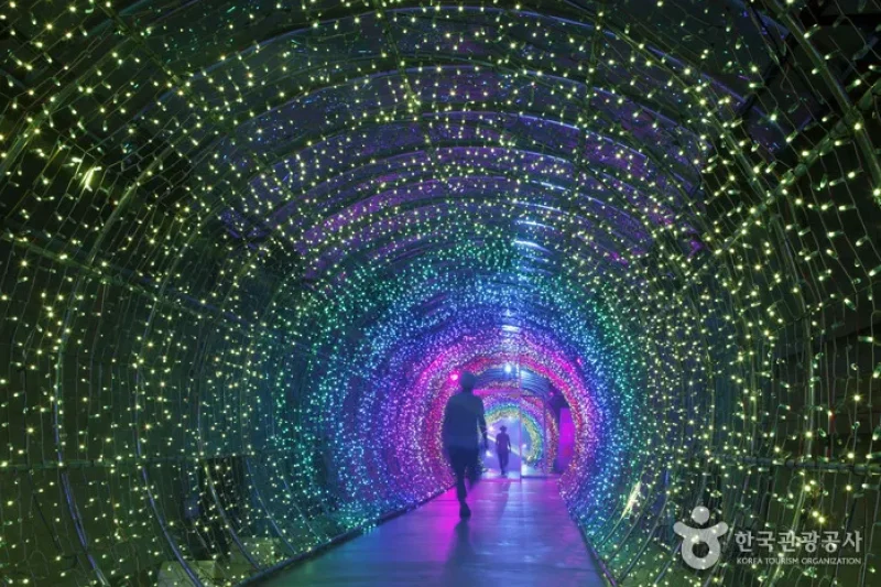 丹陽垂楊介光之隧道(단양 수양개빛터널)