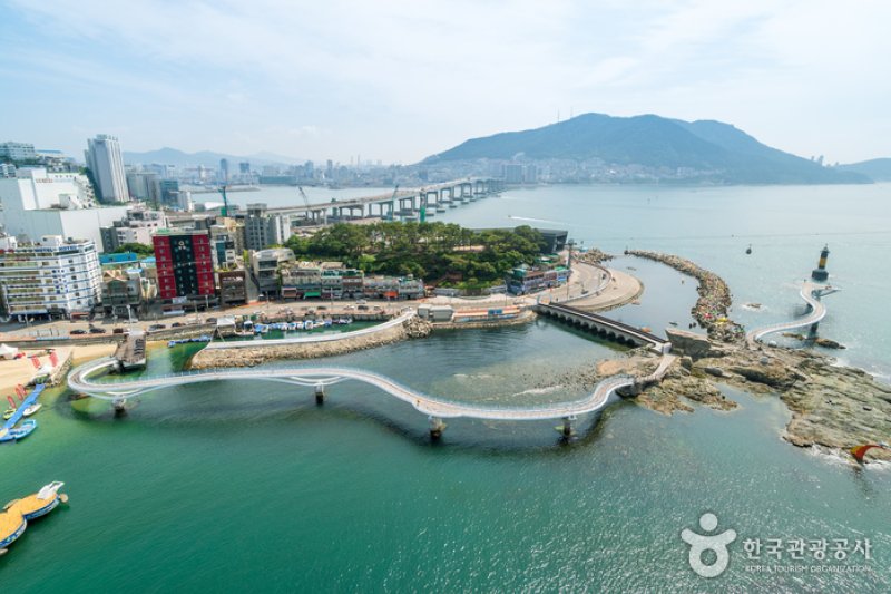 松島天空步道(송도 구름산책로(스카이워크)) (4/29)