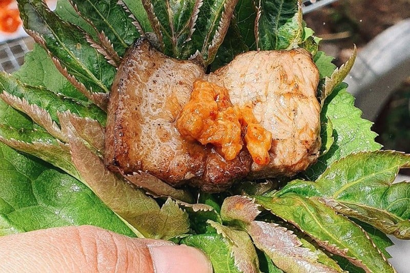 英陽山菜節 (3/4)