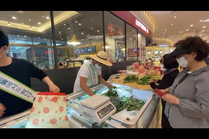 英陽山菜節 (4/4)