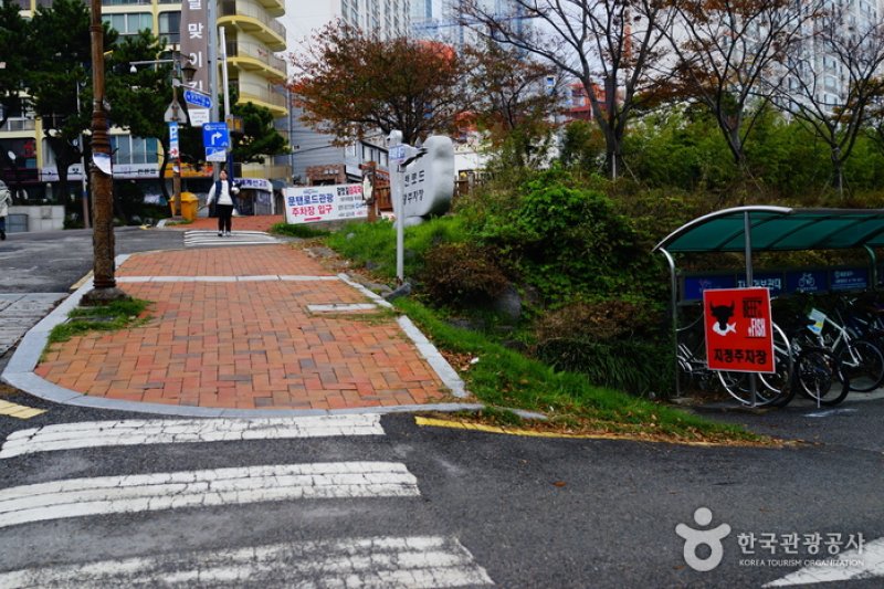 月光路(Moontan Road)(문탠로드)