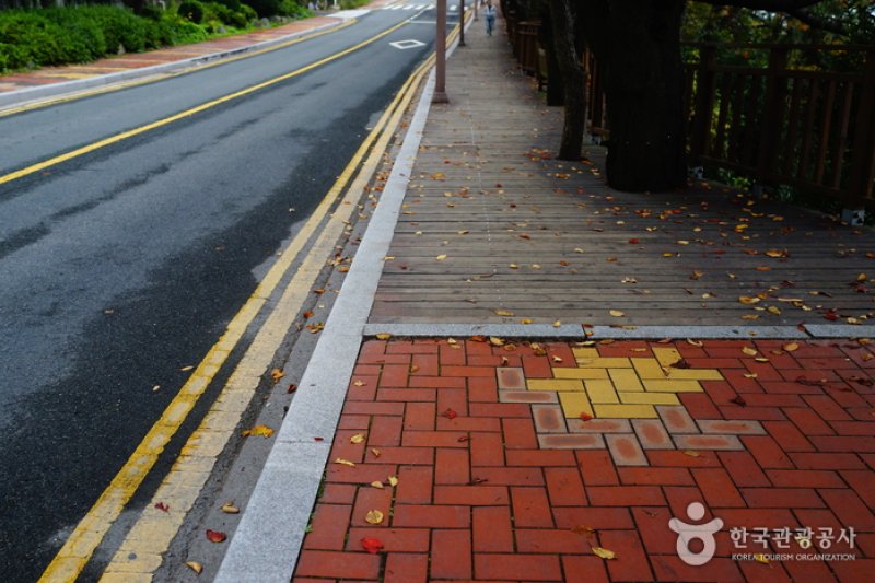 月光路(Moontan Road)(문탠로드)