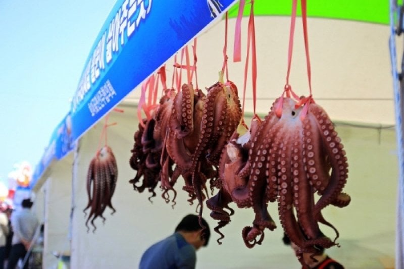 虎尾岬真章魚節 (7/7)