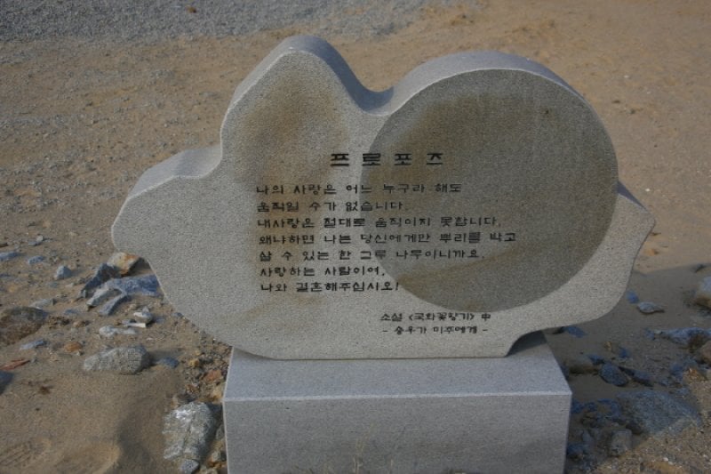 金河仁藝術廳 菊花香氣