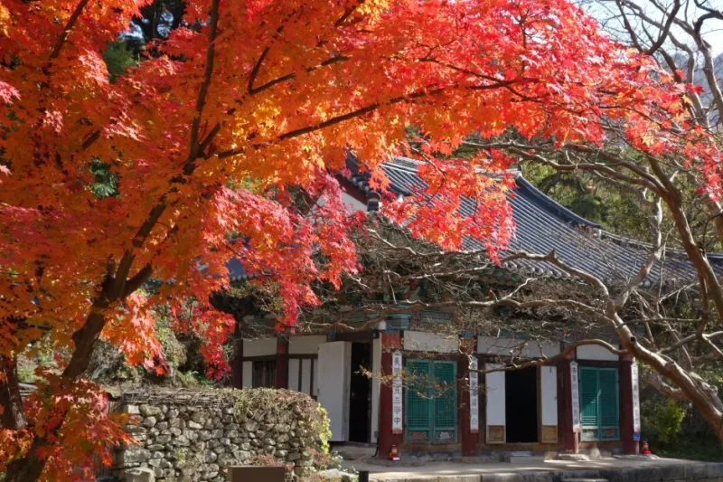 甲寺(갑사)