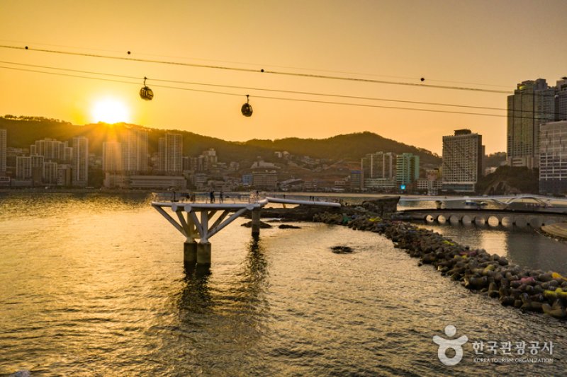 松島天空步道(송도 구름산책로(스카이워크)) (28/29)