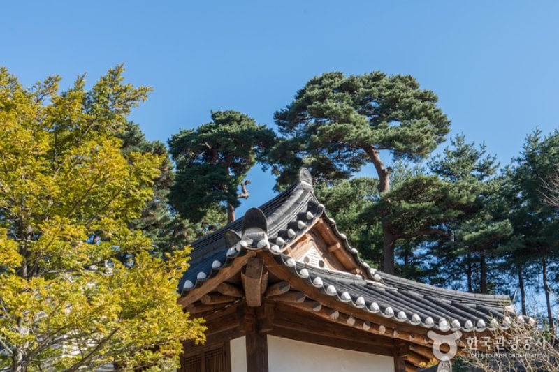 江陵船橋莊[韓國觀光品質認證/Korea Quality]강릉선교장[한국관광 품질인증/Korea Quality] (9/30)