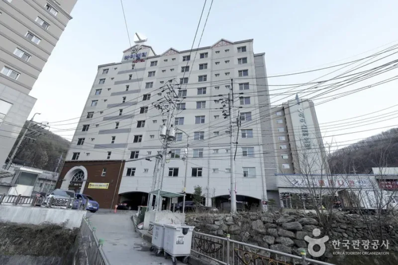 高谷飯店[韓國觀光品質認證/Korea Quality]하이밸리 호텔[한국관광 품질인증/Korea Quality] (6/21)