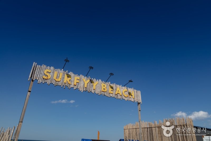 襄陽SURFYY BEACH (1/20)