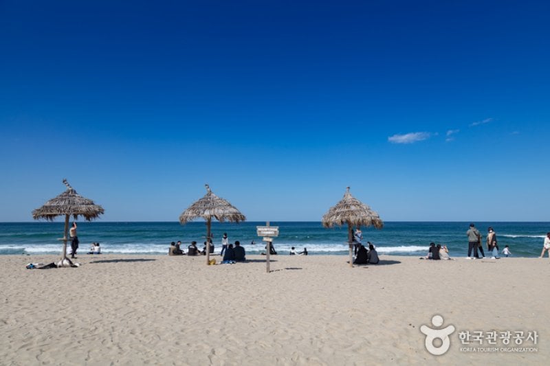 襄陽SURFYY BEACH (2/20)