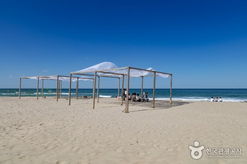 襄陽SURFYY BEACH (3/20)