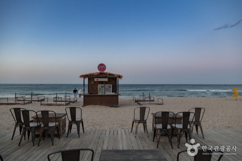 襄陽SURFYY BEACH (7/20)