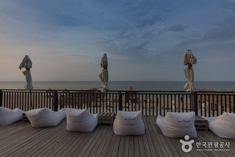 襄陽SURFYY BEACH (9/20)